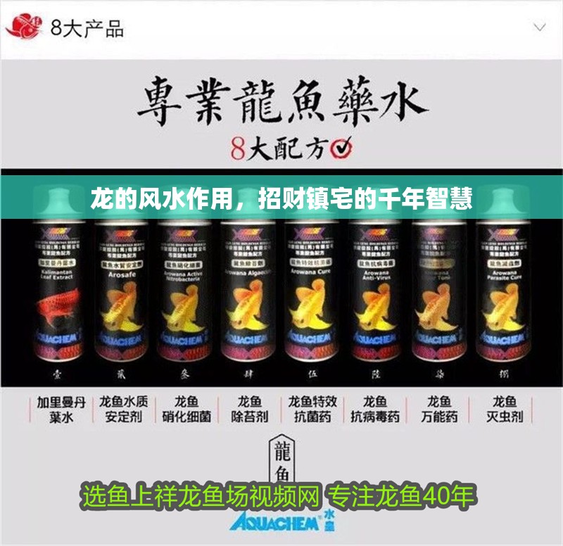 龍的風(fēng)水作用，招財鎮(zhèn)宅的千年智慧