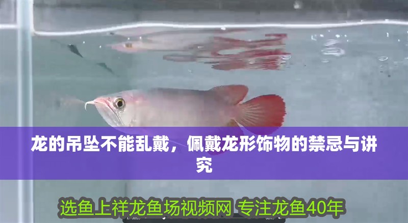 龍的吊墜不能亂戴，佩戴龍形飾物的禁忌與講究 龍的吊墜不能亂戴，佩戴龍形飾物的禁忌與講究 龍魚百科 第1張