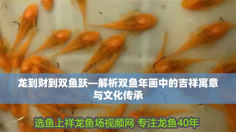 龍到財?shù)诫p魚躍—解析雙魚年畫中的吉祥寓意與文化傳承