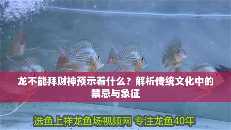 龍不能拜財神預(yù)示著什么？解析傳統(tǒng)文化中的禁忌與象征