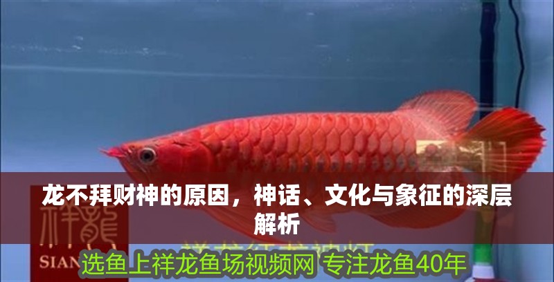 龍不拜財神的原因，神話、文化與象征的深層解析