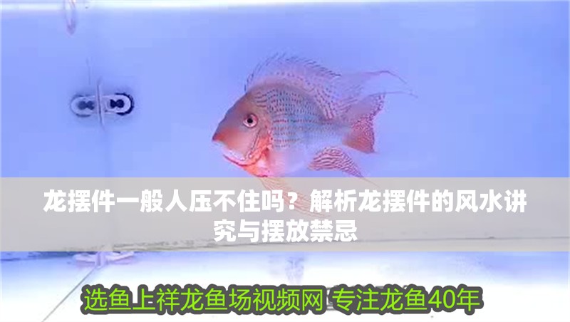 龍擺件一般人壓不住嗎？解析龍擺件的風水講究與擺放禁忌