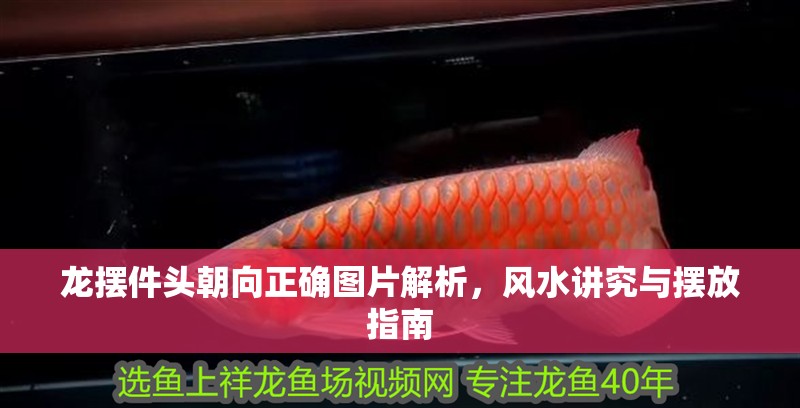 龍擺件頭朝向正確圖片解析，風水講究與擺放指南