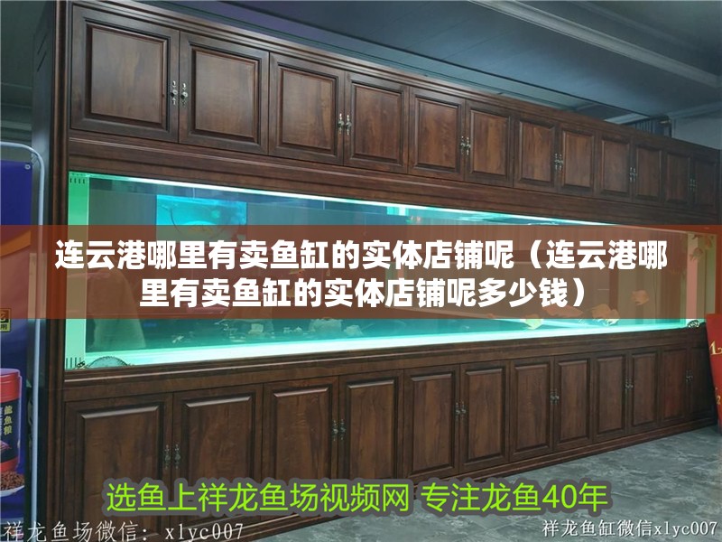 連云港哪里有賣魚缸的實體店鋪呢(連云港哪里有賣魚缸的實體店鋪呢多少錢) 全國水族館企業名錄 第1張 連云港哪里有賣魚缸的實體店鋪呢(連云港哪里有賣魚缸的實體店鋪呢多少錢) 連云港哪里有賣魚缸的實體店鋪呢(連云港哪里有賣魚缸的實體店鋪呢多少錢) 全國水族館企業名錄 第1張