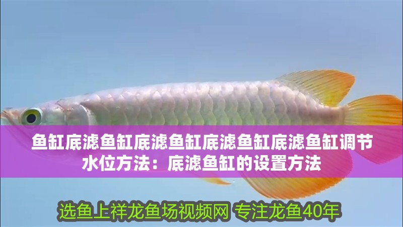 魚缸底濾魚缸底濾魚缸底濾魚缸底濾魚缸調節水位方法：底濾魚缸的設置方法