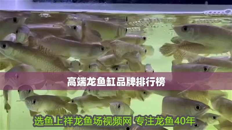高端龍魚缸品牌排行榜
