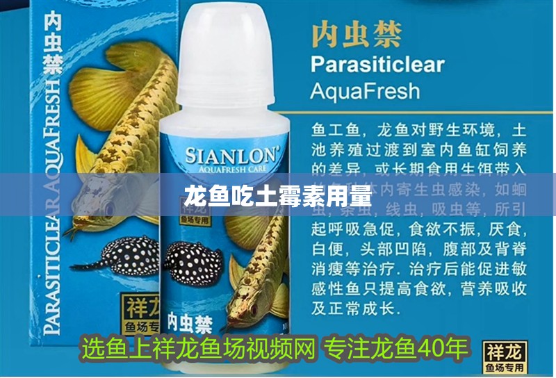 龍魚吃土霉素用量