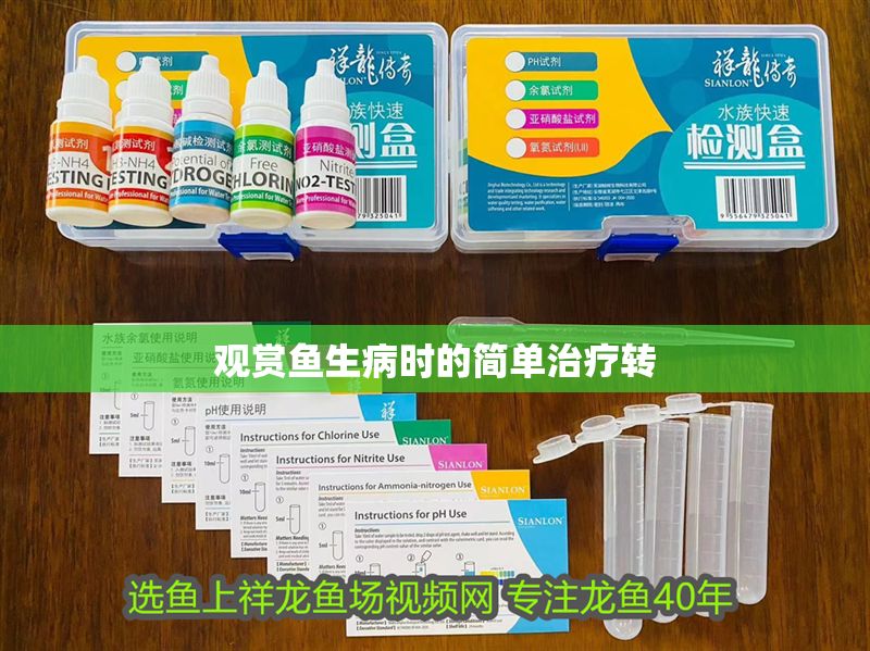 觀賞魚生病時的簡單治療轉