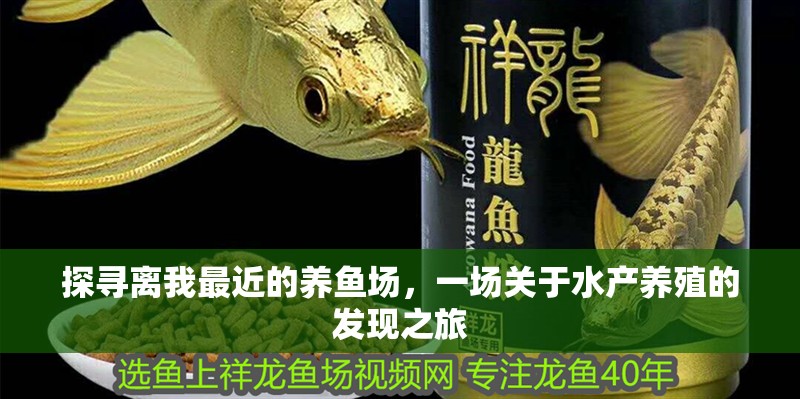 探尋離我最近的養魚場，一場關于水產養殖的發現之旅