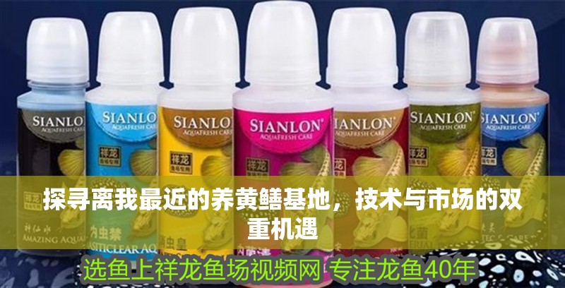 探尋離我最近的養(yǎng)黃鱔基地，技術(shù)與市場(chǎng)的雙重機(jī)遇