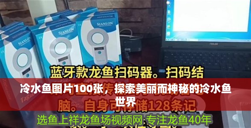 冷水魚圖片100張，探索美麗而神秘的冷水魚世界