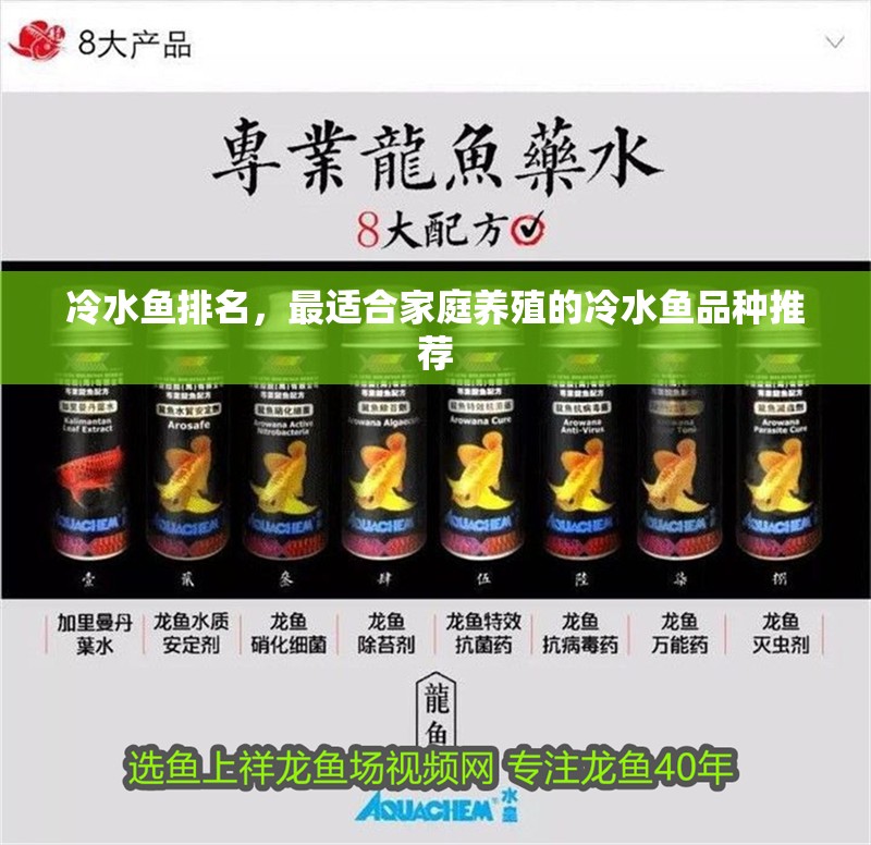 冷水魚排名，最適合家庭養殖的冷水魚品種推薦