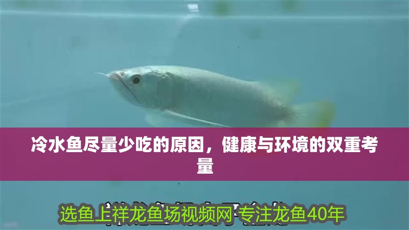 冷水魚盡量少吃的原因，健康與環境的雙重考量