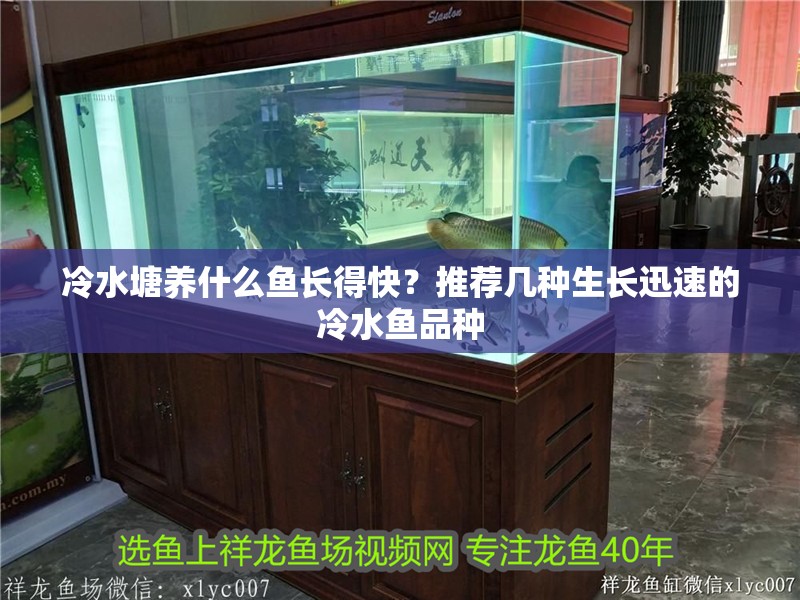 冷水塘養什么魚長得快？推薦幾種生長迅速的冷水魚品種