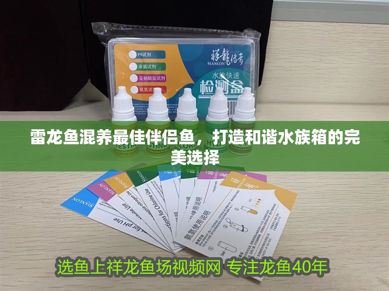 雷龍魚混養最佳伴侶魚,打造和諧水族箱的完美選擇 龍魚百科 第1張 雷龍魚混養最佳伴侶魚,打造和諧水族箱的完美選擇 雷龍魚混養最佳伴侶魚,打造和諧水族箱的完美選擇 龍魚百科 第1張