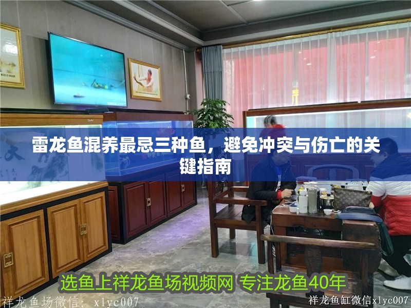 雷龍魚混養最忌三種魚，避免沖突與傷亡的關鍵指南 雷龍魚混養最忌三種魚，避免沖突與傷亡的關鍵指南 龍魚百科 第1張