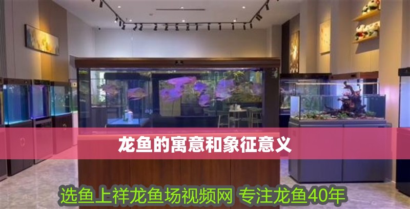 龍魚的寓意和象征意義