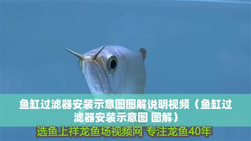 魚缸過濾器安裝示意圖圖解說明視頻（魚缸過濾器安裝示意圖 圖解）