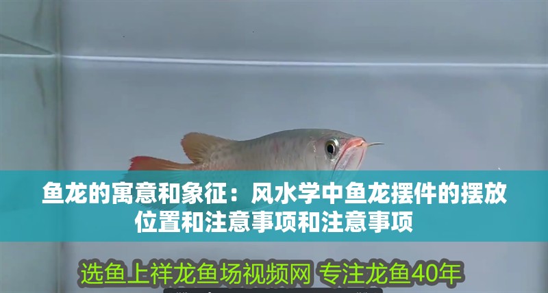 詳細閱讀:魚龍的寓意和象征:風水學中魚龍擺件的擺放位置和注意事項和注意事項 魚龍的寓意和象征:風水學中魚龍擺件的擺放位置和注意事項和注意事項