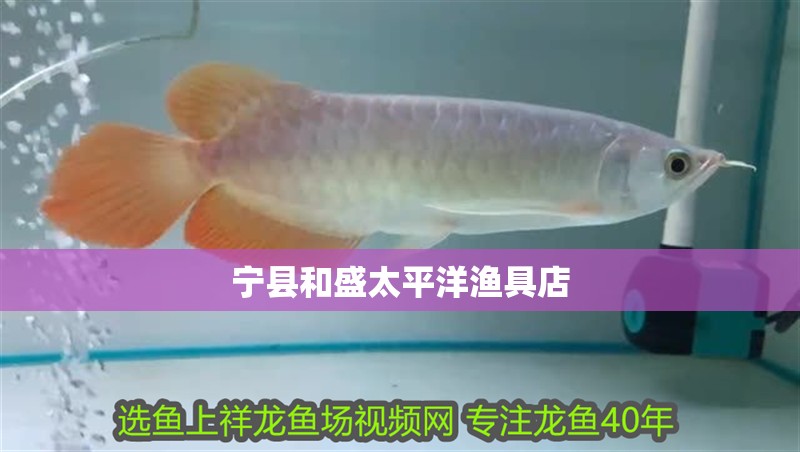 寧縣和盛太平洋漁具店