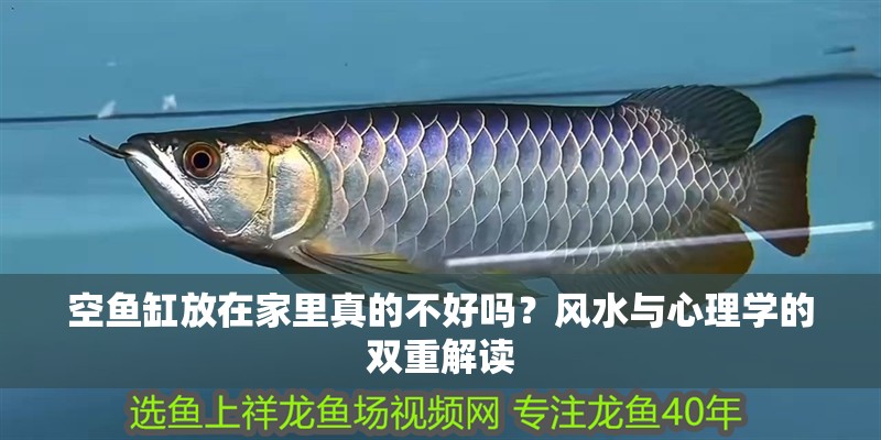 空魚缸放在家里真的不好嗎？風水與心理學的雙重解讀