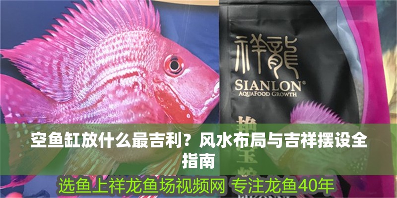 空魚缸放什么最吉利？風水布局與吉祥擺設全指南