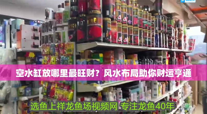 空水缸放哪里最旺財(cái)？風(fēng)水布局助你財(cái)運(yùn)亨通