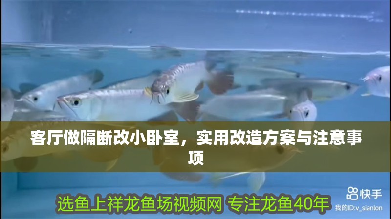 客廳做隔斷改小臥室,實用改造方案與注意事項 龍魚百科 第1張 客廳做隔斷改小臥室,實用改造方案與注意事項 客廳做隔斷改小臥室,實用改造方案與注意事項 龍魚百科 第1張