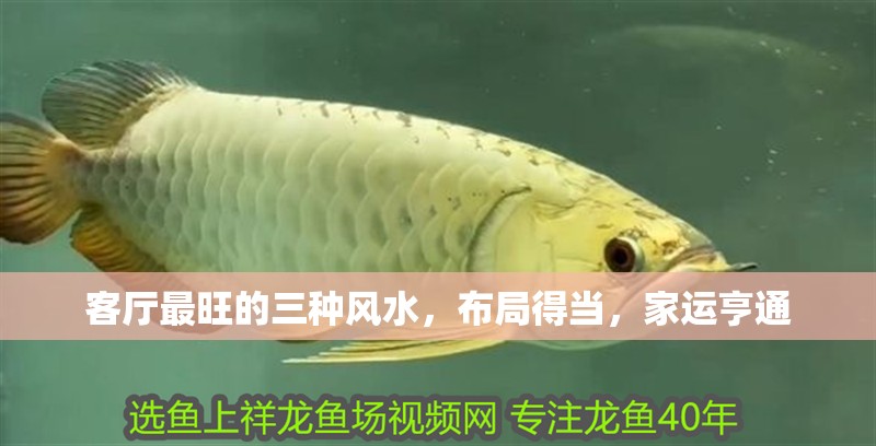 客廳最旺的三種風水，布局得當，家運亨通