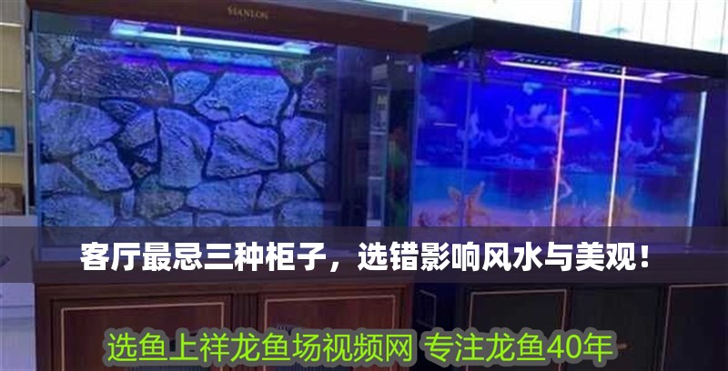 客廳最忌三種柜子，選錯影響風水與美觀！