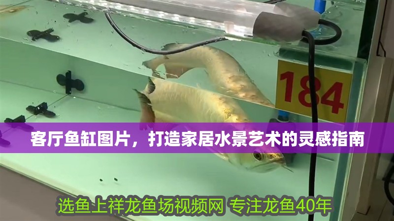客廳魚缸圖片，打造家居水景藝術的靈感指南