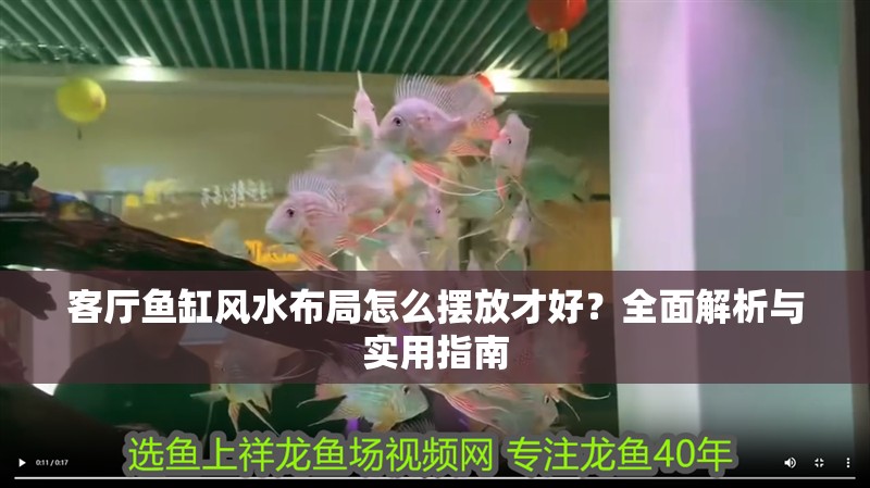 客廳魚缸風水布局怎么擺放才好？全面解析與實用指南