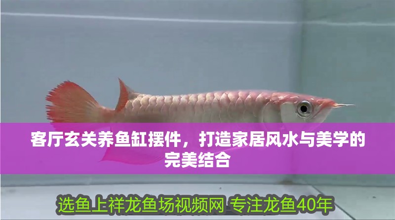 客廳玄關養魚缸擺件，打造家居風水與美學的完美結合 客廳玄關養魚缸擺件，打造家居風水與美學的完美結合 龍魚百科 第1張