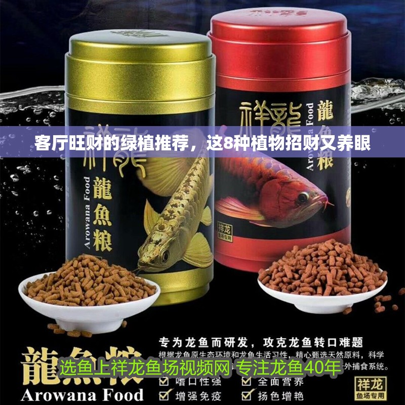 客廳旺財的綠植推薦，這8種植物招財又養眼
