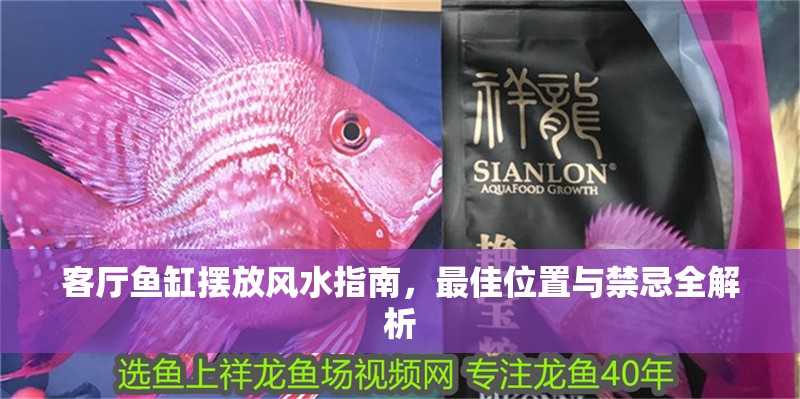 客廳魚缸擺放風水指南，最佳位置與禁忌全解析 客廳魚缸擺放風水指南，最佳位置與禁忌全解析 龍魚百科 第1張