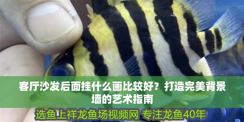 客廳沙發后面掛什么畫比較好？打造完美背景墻的藝術指南