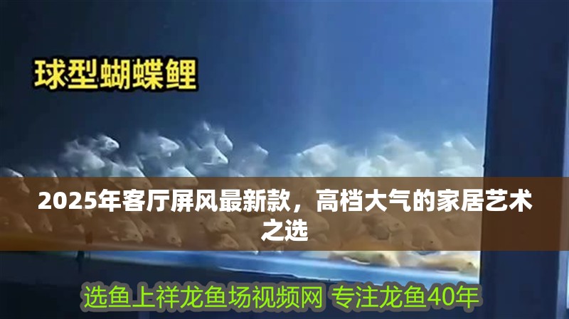 2025年客廳屏風最新款，高檔大氣的家居藝術之選