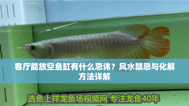 客廳能放空魚缸有什么忌諱？風(fēng)水禁忌與化解方法詳解