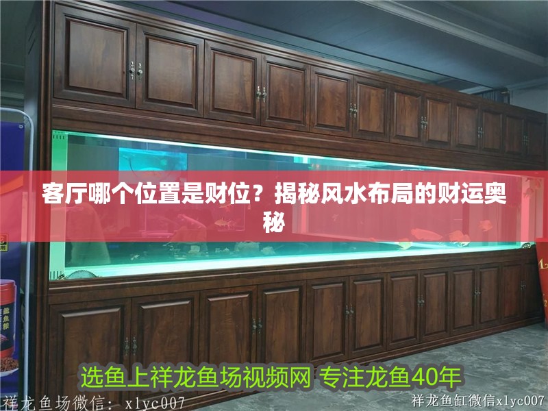 客廳哪個(gè)位置是財(cái)位？揭秘風(fēng)水布局的財(cái)運(yùn)奧秘 客廳哪個(gè)位置是財(cái)位？揭秘風(fēng)水布局的財(cái)運(yùn)奧秘 龍魚百科 第1張