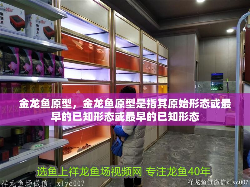 金龍魚原型，金龍魚原型是指其原始形態或最早的已知形態或最早的已知形態