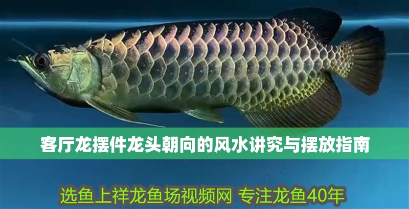 客廳龍擺件龍頭朝向的風(fēng)水講究與擺放指南