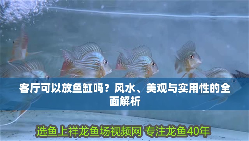 客廳可以放魚缸嗎？風水、美觀與實用性的全面解析
