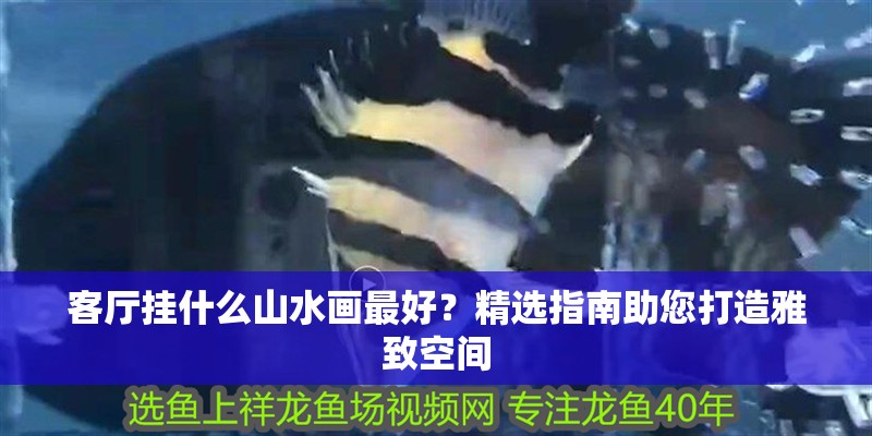 客廳掛什么山水畫最好？精選指南助您打造雅致空間