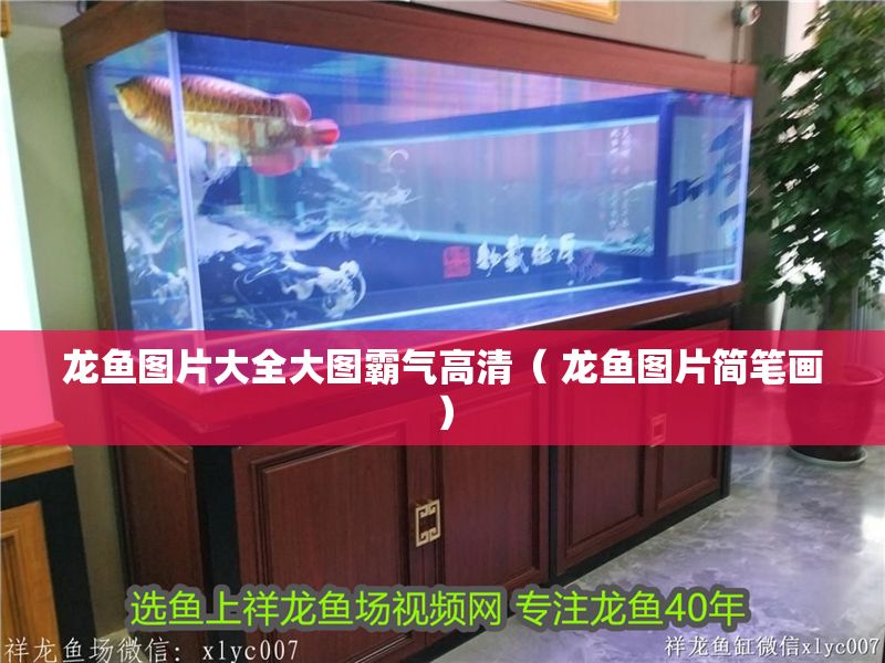 龍魚圖片大全大圖霸氣高清（ 龍魚圖片簡筆畫）
