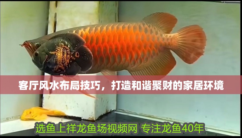 客廳風水布局技巧，打造和諧聚財的家居環境