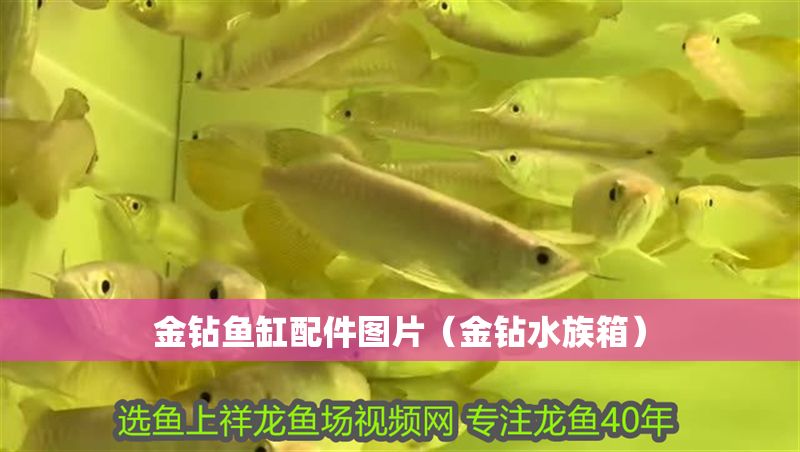 金鉆魚缸配件圖片（金鉆水族箱）