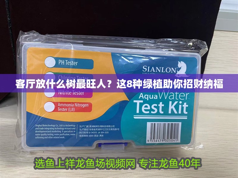 客廳放什么樹最旺人？這8種綠植助你招財納福