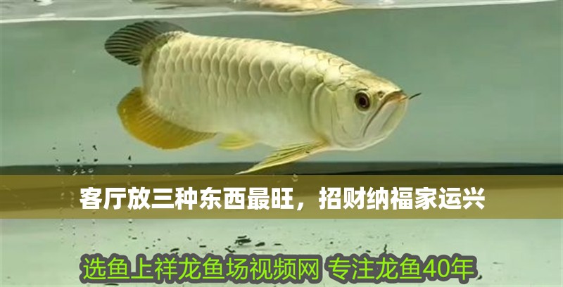 客廳放三種東西最旺，招財納福家運興