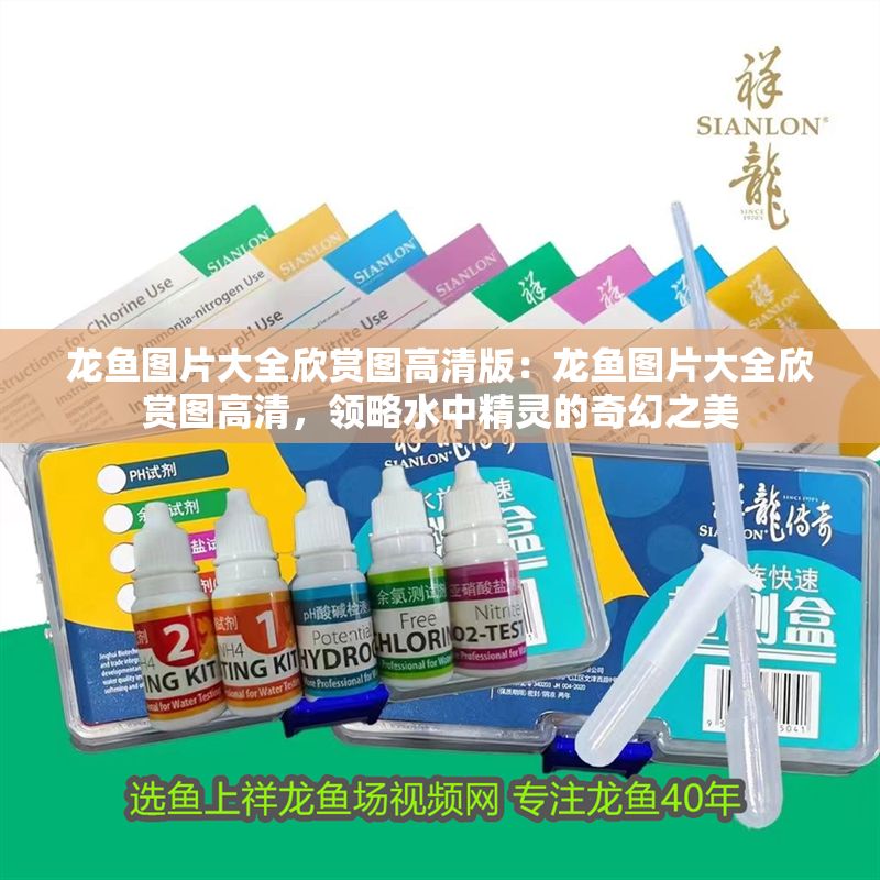龍魚圖片大全欣賞圖高清版：龍魚圖片大全欣賞圖高清，領略水中精靈的奇幻之美