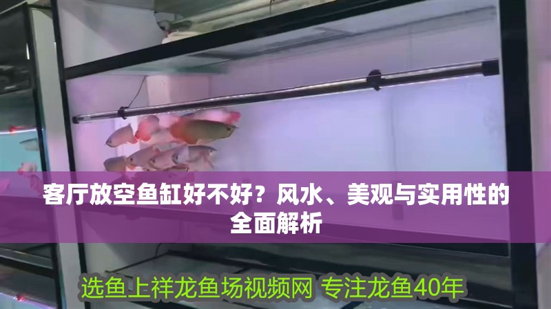 客廳放空魚缸好不好？風(fēng)水、美觀與實(shí)用性的全面解析